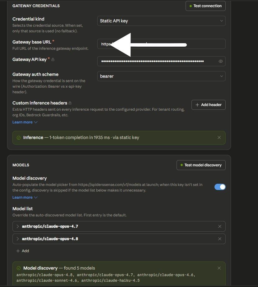 فرم Gateway credentials و تست اتصال و کشف مدل‌ها